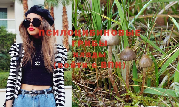 дмт Козельск